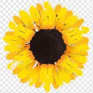 Meet your Posher, London